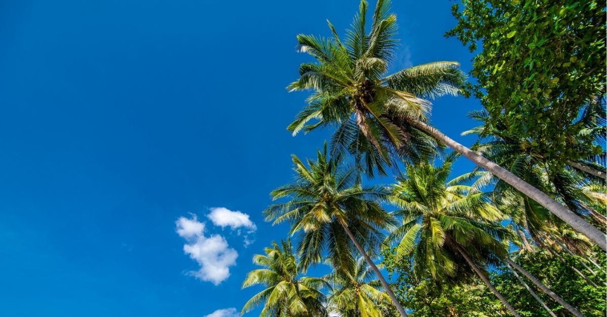 private-tour-salento-cocora-valley